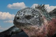 Galapagos 02